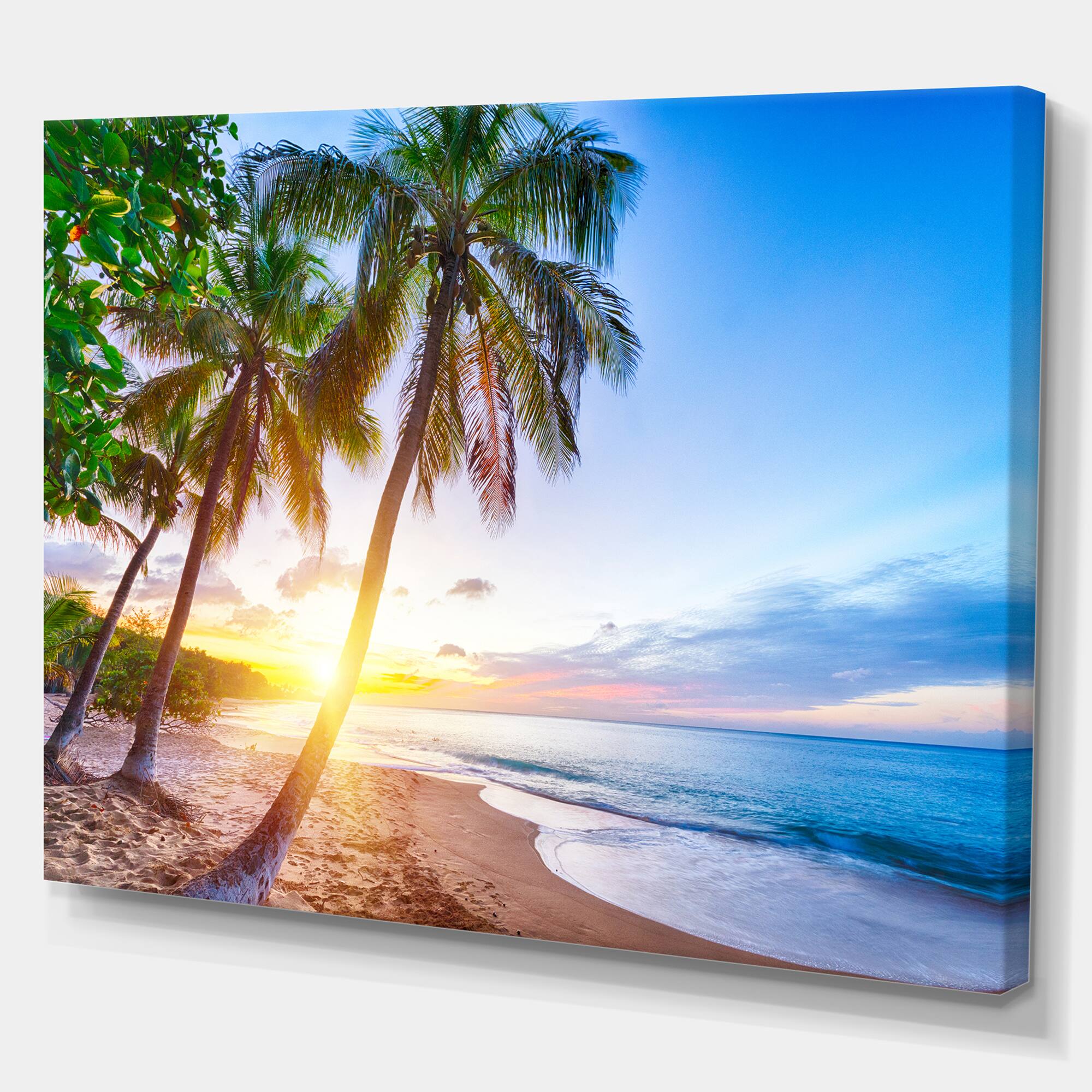 Designart - Pearl Beach in Guadeloupe